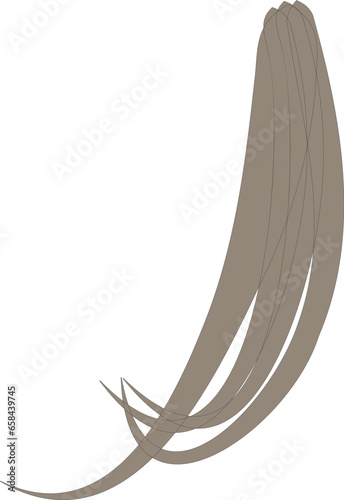 くるっとした髪の毛イラスト