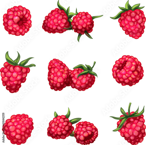 Raspberry icons set cartoon vector. Sweet food. Fruit jam