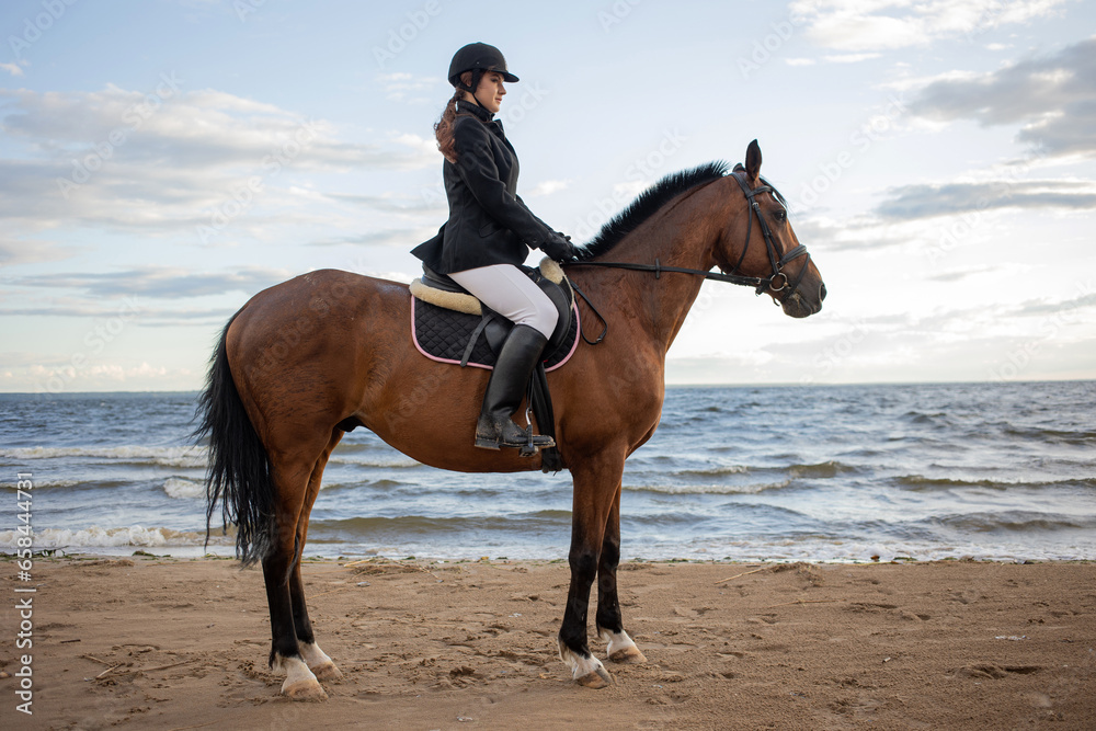 Horsewoman in equestrian sports gear, riding a horse, on the beach, portrait on the background of the sea, horseback riding outdoors Horsewoman in equestrian sports gear, riding a horse, on the beach, portrait on the background of the sea, horseback riding outdoors