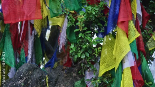 Monkey hiding behind prayer flags in tree - Close Up, Slow Motion