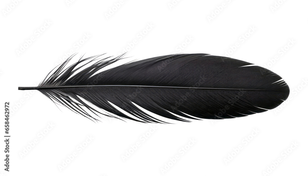 black feather isolated on transparent background cutout Stock ...