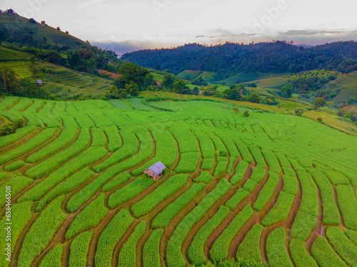 Terraced Rice Field in Chiangmai  Thailand