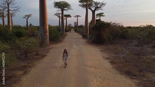 Aerial view of baobabs avenue in Madagascar, woman walking in the avenue. photo