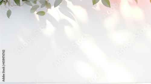 White wall with soft pastel shadows of leaves