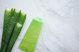 Fresh aloe vera sliced and liquid gel in plastic container on white background 