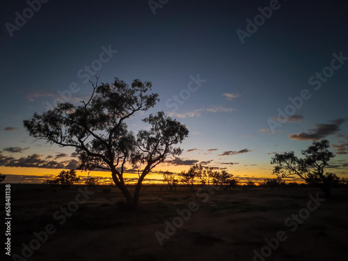 The golden glow of sunrise with trees in silhouette in the Australian outback