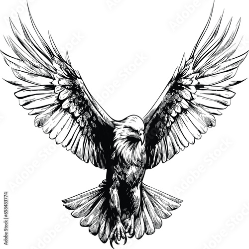 Eagle vector illustrations logo, t-shart design wallpaper  