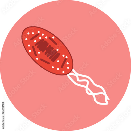 bacteria