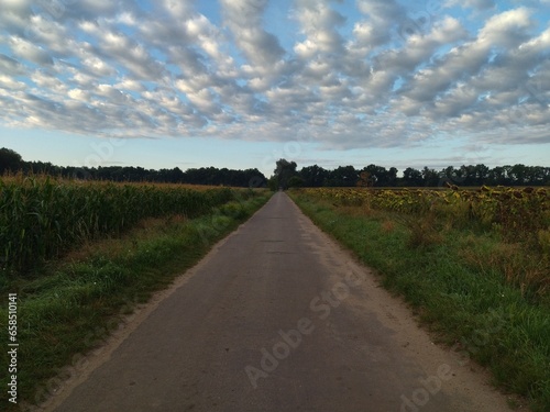 Fotografi south moravia land of wines