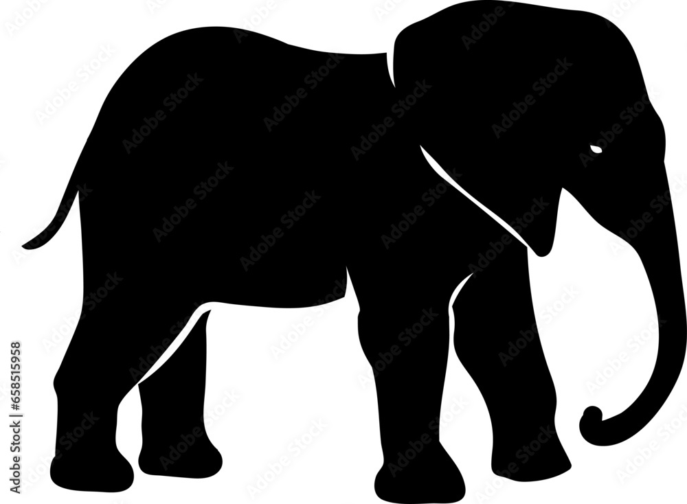 Obraz premium elephant