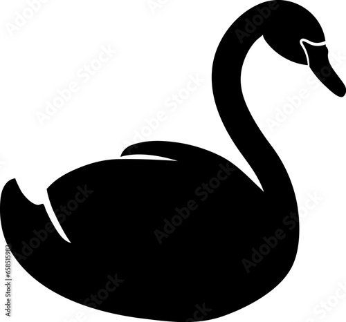 black swan