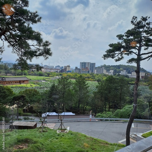 Sunny Day In Deokjin Park, Jeonju, South Korea photo