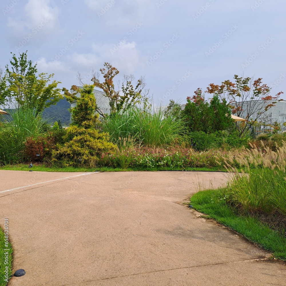 Sunny Day in Sejong Arboretum, South Korea. Sunny Day in Sejong Arboretum, South Korea.