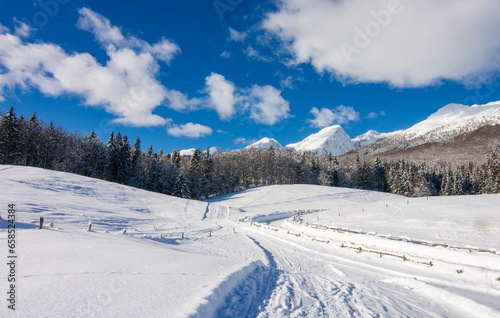 the snow-covered mountain road enters the forest