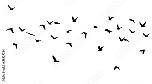 Flying birds silhouette flock. hand drawing. Not AI, Illustrat3. Vector illustration © Мария Неноглядова