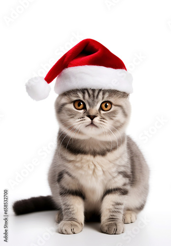 Cat wearing Santa hat, Christmas concept