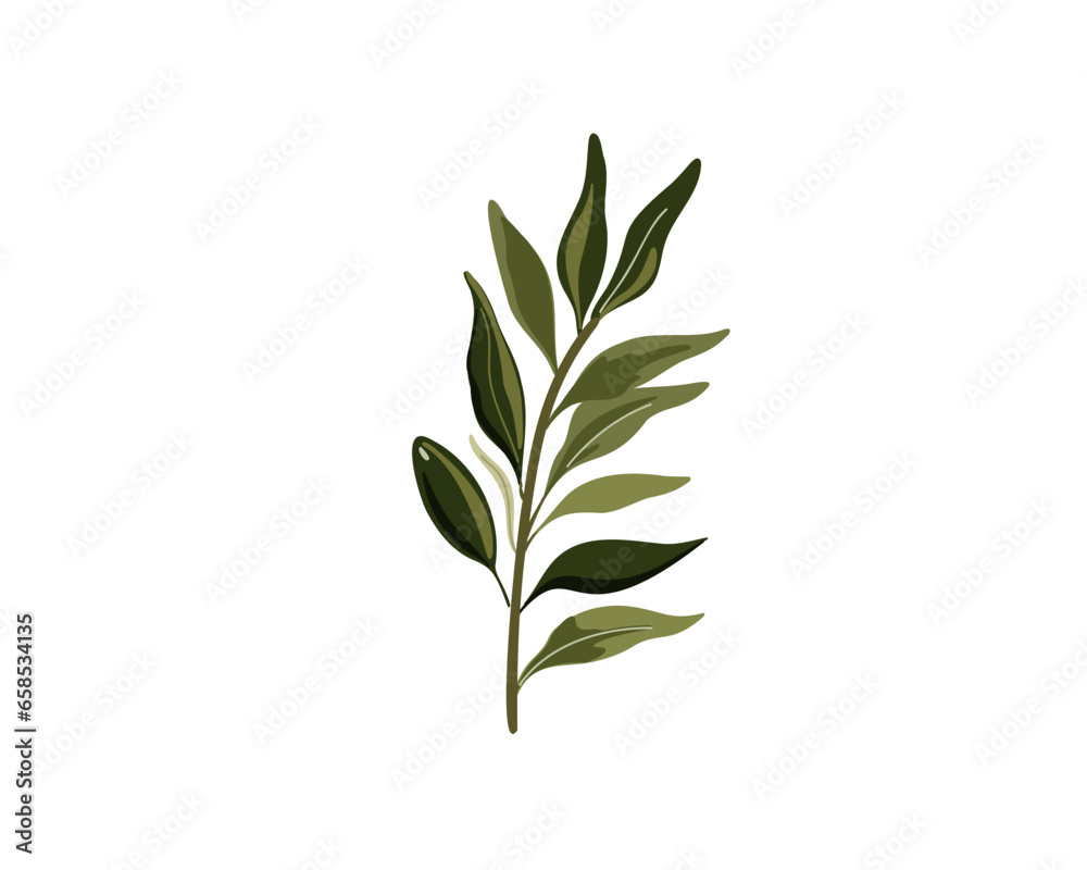 Green olive branch, vector illustration Green olive branch, vector illustration