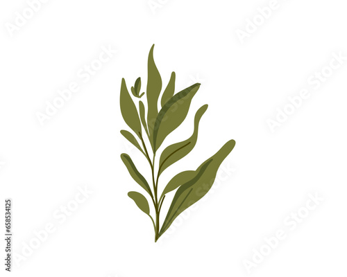  Green branch, vector illustration