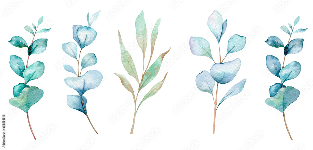 Eucalyptus Watercolor Illustration. Eucalyptus Greenery Hand Painted isolated on white background. Perfect for wedding invitations, floral labels, bridal shower and floral greeting cards Eucalyptus Watercolor Illustration. Eucalyptus Greenery Hand Painted isolated on white background. Perfect for wedding invitations, floral labels, bridal shower and floral greeting cards
