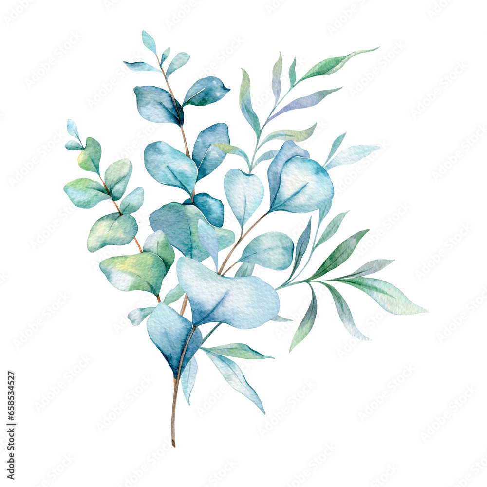 Eucalyptus Watercolor Illustration. Eucalyptus Greenery Hand Painted isolated on white background.  Perfect for wedding invitations, floral labels, bridal shower and  floral greeting cards