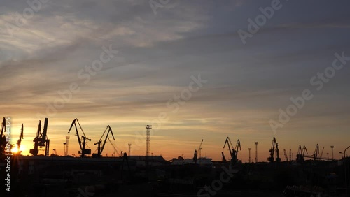 The beauty of nature - cranes in harbour silhouetted against the sky at golden hour