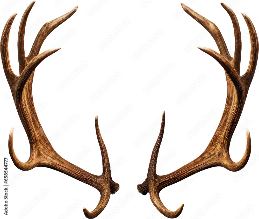 reindeer antlers transparent background PNG clipart reindeer antlers transparent background PNG clipart
