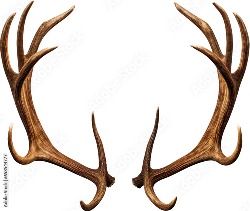 reindeer antlers transparent background PNG clipart © Chrixxi