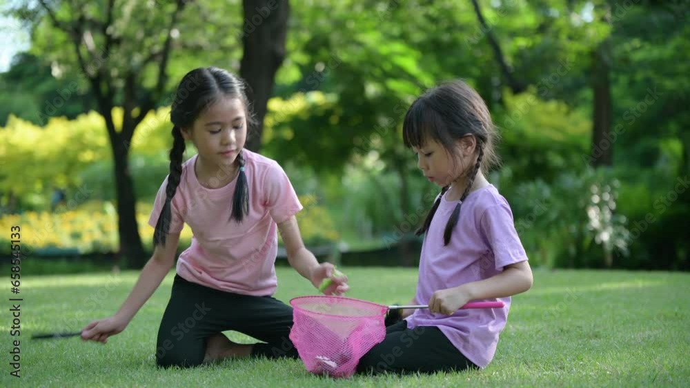 Happy Asian family children having fun and catches a net of insects in the park, summer vacation concept Happy Asian family children having fun and catches a net of insects in the park, summer vacation concept