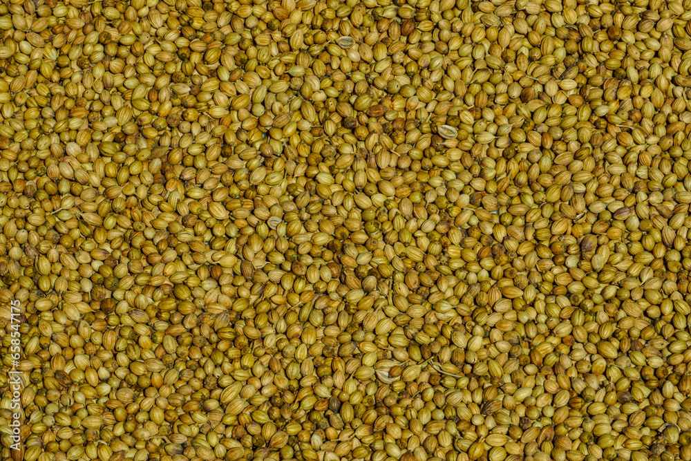 Background or platter of dry coriander seeds