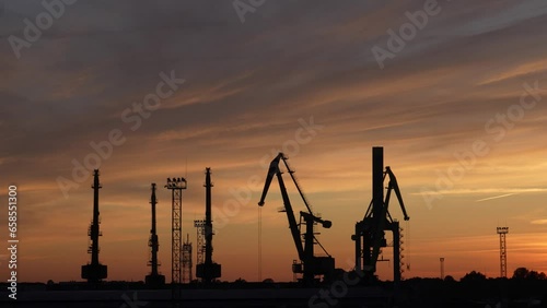 A peaceful and majestic panorama of a group of cranes silhouetted against a sunset backdrop