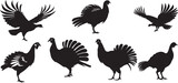 Vector illustration of a Thanksgiving turkey and and Wildlife Designs