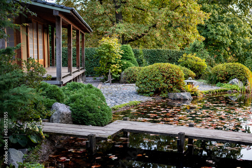 Traditional Japanese tea house with pond with fallen leaves, wooden bridge, garden with picturesque stones and lush green bushes. Autumn season. 