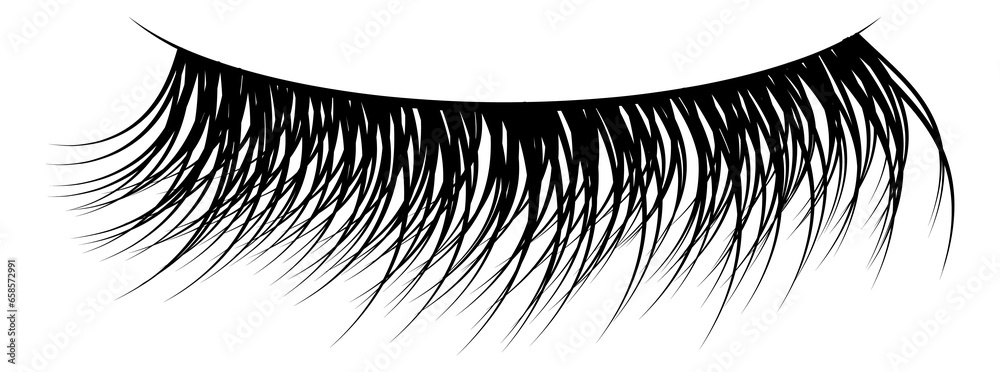 False lashes. Black thin long realistic eyelashes - obrazy, fototapety, plakaty 