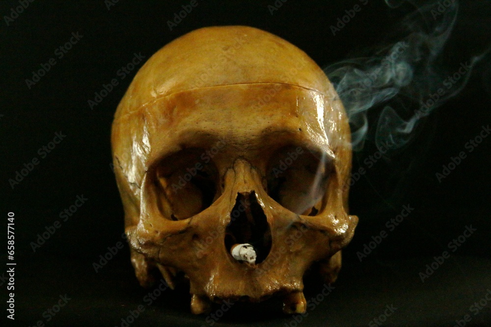 Obraz premium craneo de calavera fumandose un cigarro