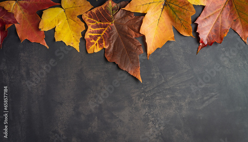 Autumn leaves background on a dark surface top view with copyspace