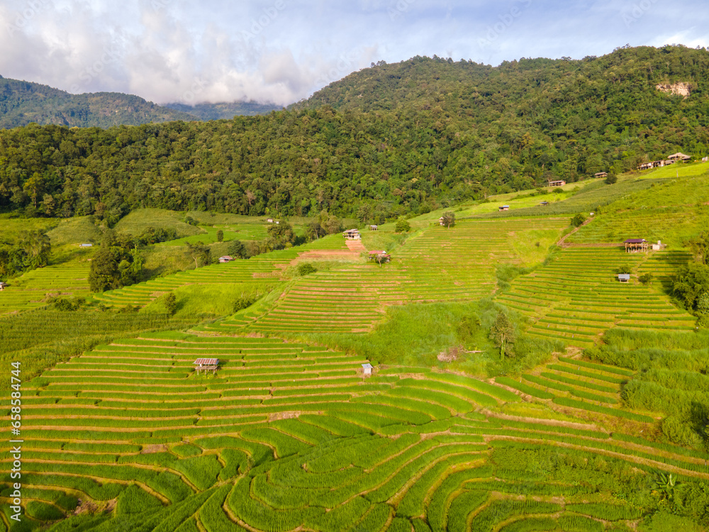 Terraced Rice Field in Chiangmai, Thailand, Pa Pong Piang rice terraces, green rice paddy fields during rain season