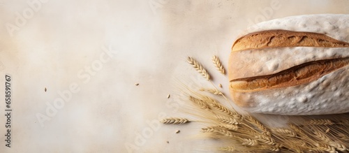 Whole grain rye bread non whole wheat bread isolated pastel background Copy space