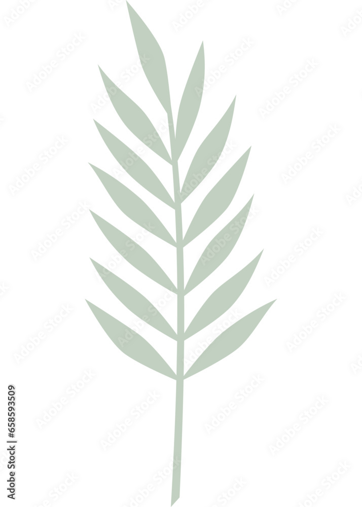 Blatt, Palmblatt, Farn mit transparentem Hintergrund Blatt, Palmblatt, Farn mit transparentem Hintergrund