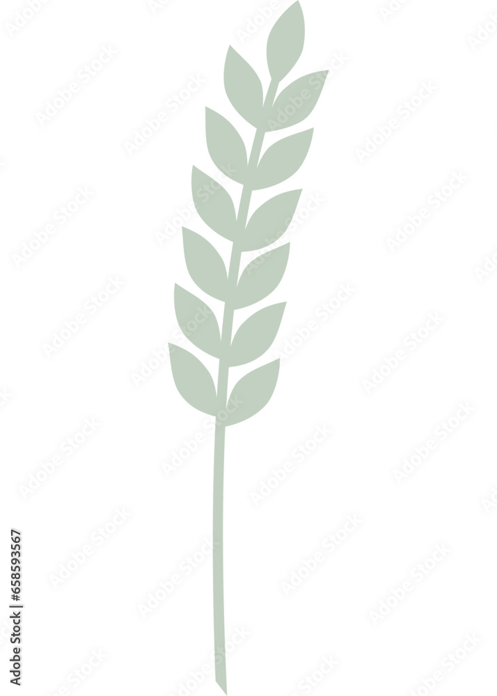 Blatt, Pflanze mit transparentem Hintergrund Blatt, Pflanze mit transparentem Hintergrund