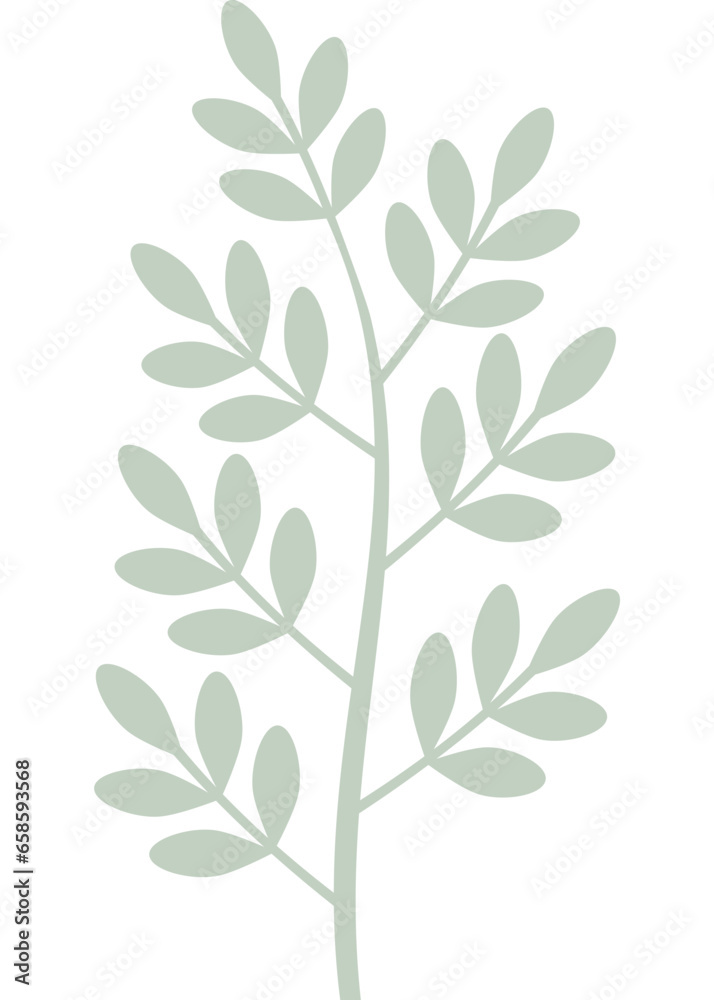 Blatt, Pflanze mit transparentem Hintergrund 