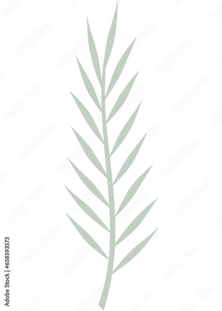 Blatt, Palmblatt, Farn mit transparentem Hintergrund 
