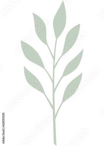 Blatt  Pflanze mit transparentem Hintergrund 