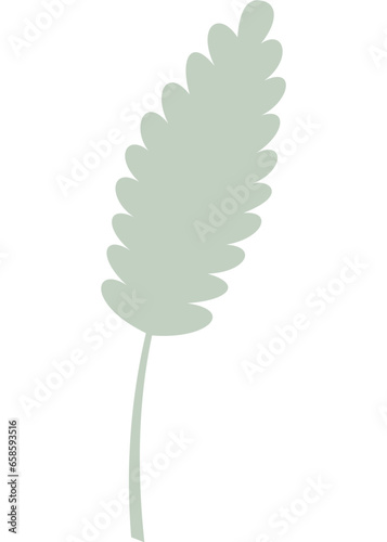Blatt mit transparentem Hintergrund 