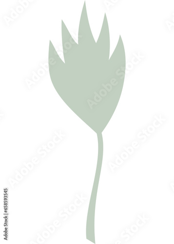 Blatt, Pflanze mit transparentem Hintergrund 