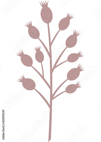 Blume, Pflanze mit transparentem Hintergrund 