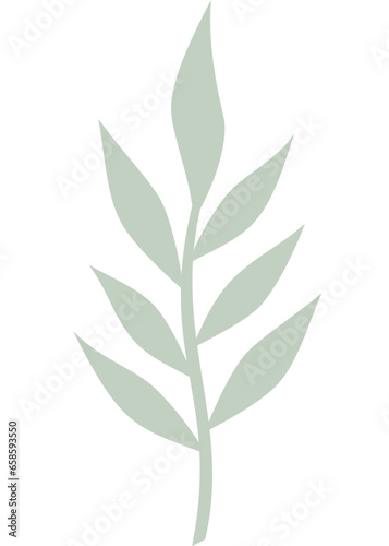 Blatt  Palmblatt  Farn mit transparentem Hintergrund 