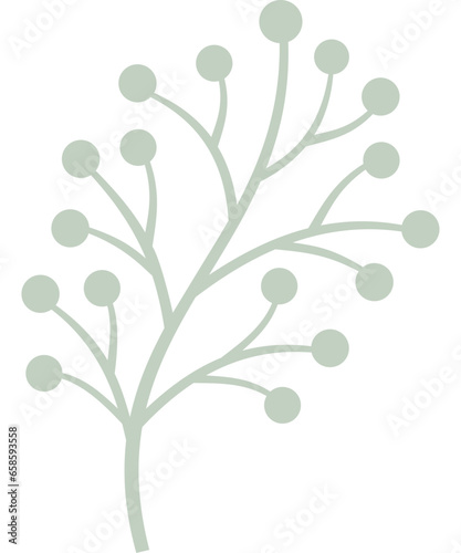 Blatt, Pflanze mit transparentem Hintergrund 