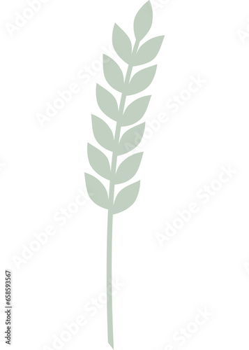 Blatt, Pflanze mit transparentem Hintergrund 