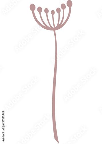 Blume, Pflanze mit transparentem Hintergrund 