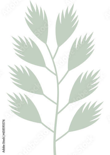 Blatt, Palmblatt, Farn mit transparentem Hintergrund 